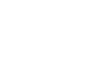 Mr Green | Beste Online casino Reviews | speel casino online | casinovergelijker.net