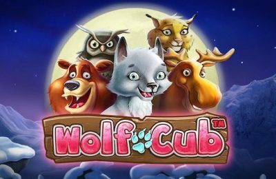 Wolf Cub | Beste Online Casino Gokkasten | casino online spelen