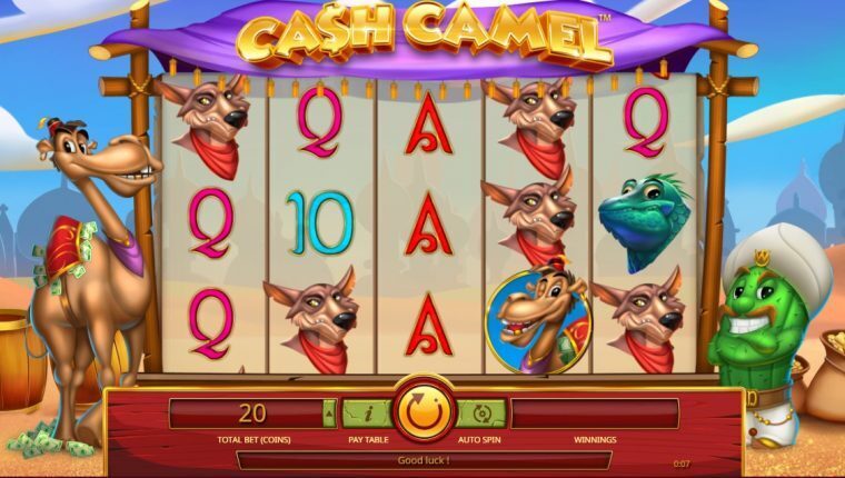 Cash Camel | Betrouwbare Online Casino Gokkast Review | online gokken