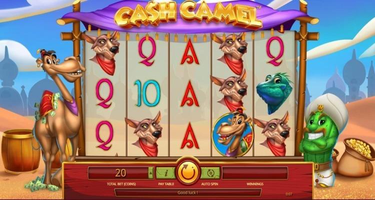 Cash Camel online gokkast