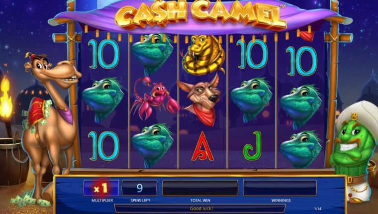 Cash Camel | Betrouwbare Online Casino Gokkast Review | online slots spelen