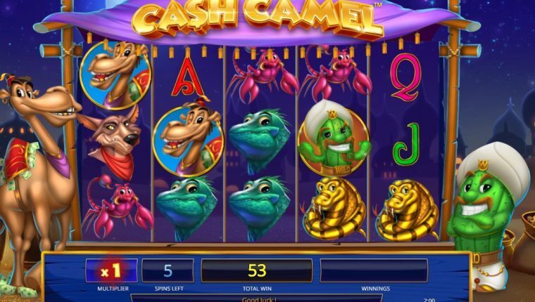 Cash Camel | Betrouwbare Online Casino Gokkast Review | online gokkasten spelen