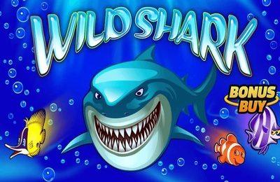 Wild Shark gokkast logo