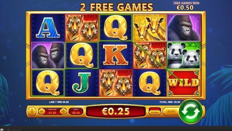 Double Jungle | Beste Online Casino Gokkasten | speel casino online