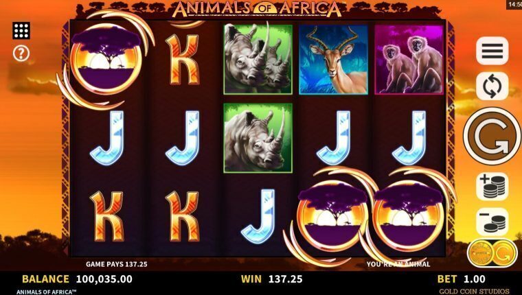 Animals of Africa | Beste Online Casino Gokkasten | gratis spins