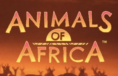 Animals of Africa | Beste Online Casino Gokkasten | casino bonus