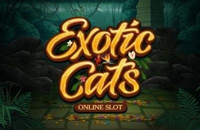 Exotic Cats | Beste Online Casino Gokkasten | casino bonus