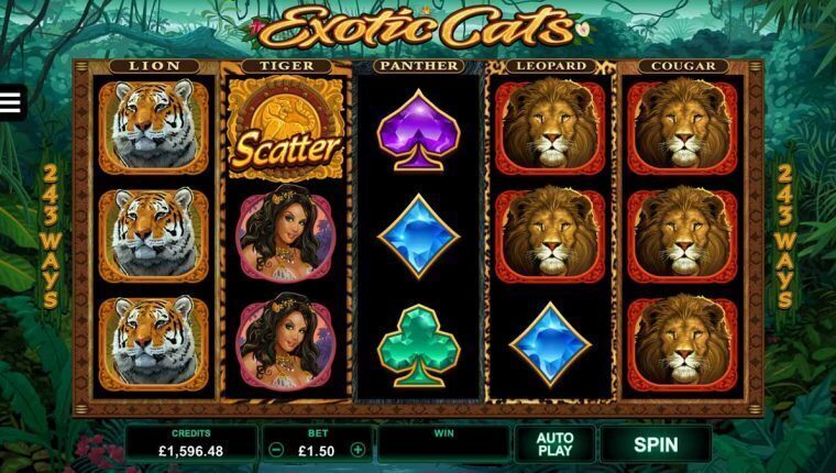 Exotic Cats | Beste Online Casino Gokkasten | free spins