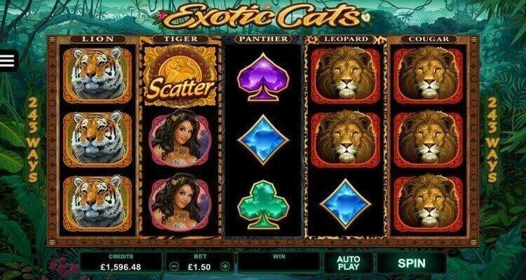 Exotic Cats online gokkast