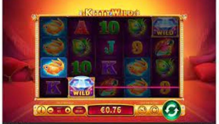 KITTY WILD | Beste Online Casino Gokkasten | online casino