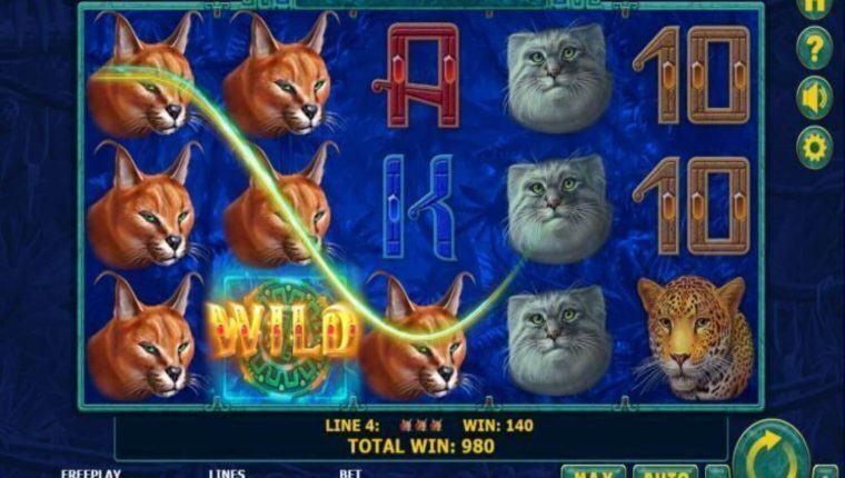SUPER CATS | Beste Online Casino Gokkasten | speel online casino
