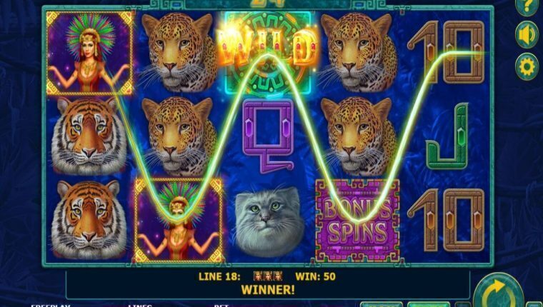 SUPER CATS | Beste Online Casino Gokkasten | welkomstbonus