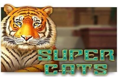 SUPER CATS | Beste Online Casino Gokkasten | free spins