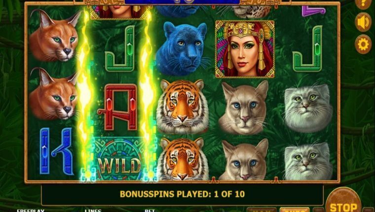 SUPER CATS | Beste Online Casino Gokkasten | online casino
