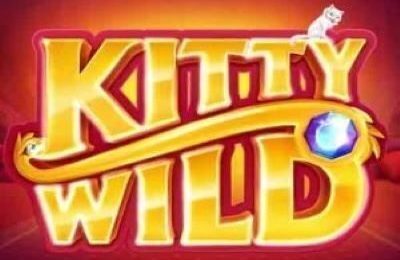 KITTY WILD | Beste Online Casino Gokkasten | speel casino online