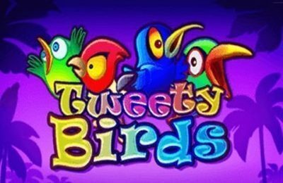 TWEETY BIRDS | Beste Online Casino Gokkasten | free spins