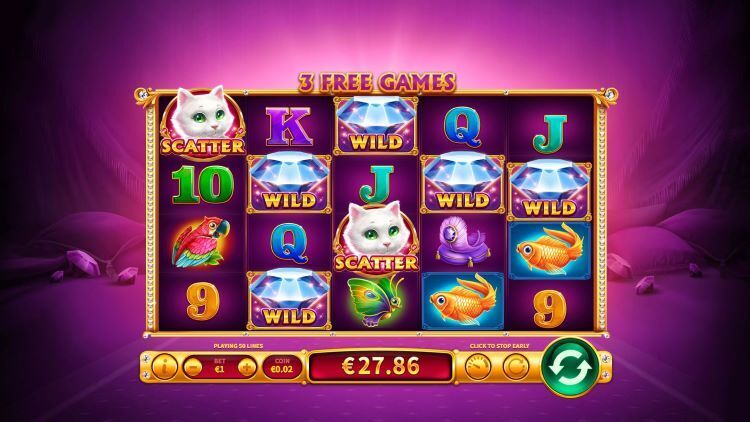 KITTY WILD | Beste Online Casino Gokkasten | online casino spelen