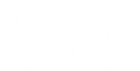 The Red Lion Casino | Beste Online Casino Review | speel gokkasten online