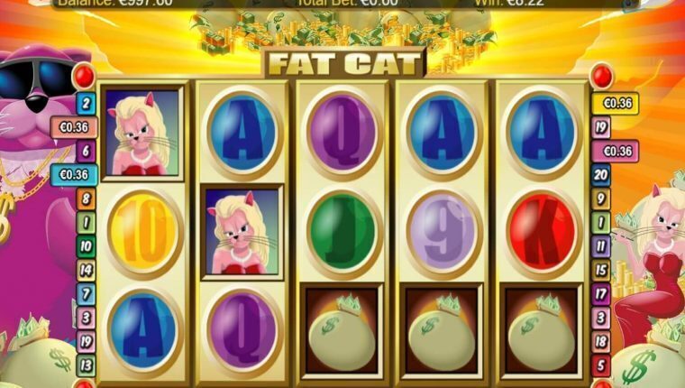 FAT CAT | Beste Online Casino Gokkasten | welkomstbonus