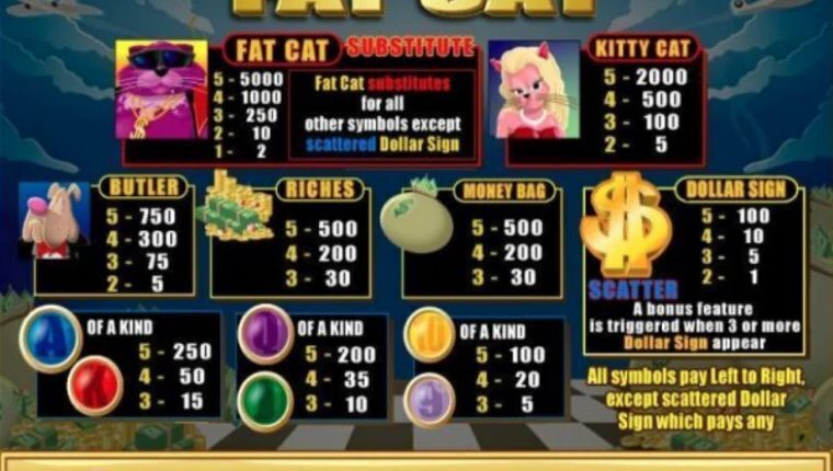 FAT CAT | Beste Online Casino Gokkasten | casino online