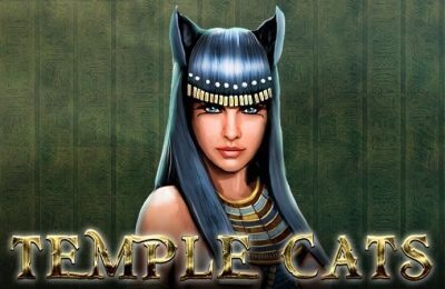 TEMPLE CATS | Beste Online Casino Gokkast Review | online gokkasten