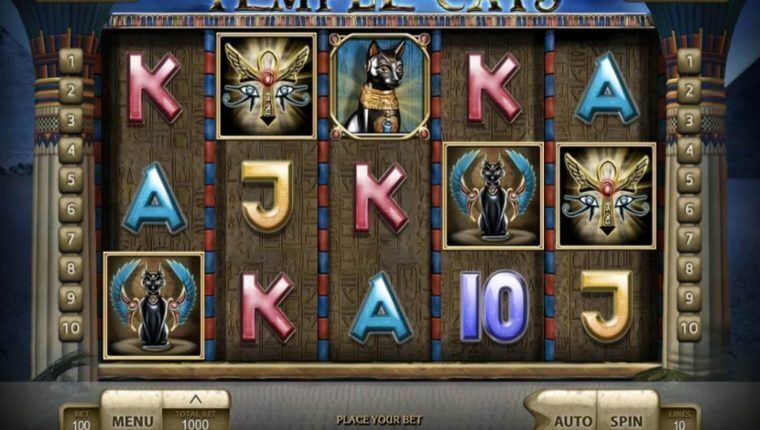 TEMPLE CATS | Beste Online Casino Gokkast Review | Endorphina gokkasten
