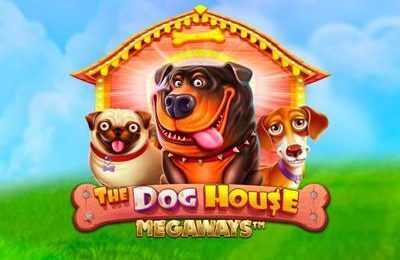 The Dog House Megaways | Beste Online Casino Gokkast Review | Pragmatic Play gokkasten/slots