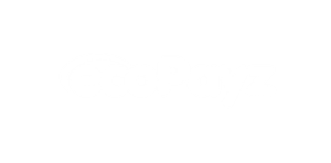 Ecopayz | Beste Online Casino Betaalmethode | echt geld winnen