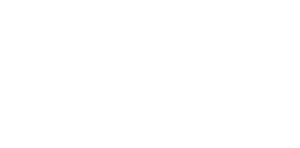 Visa | Beste Online Casino Betaalmethode | echt geld winnen
