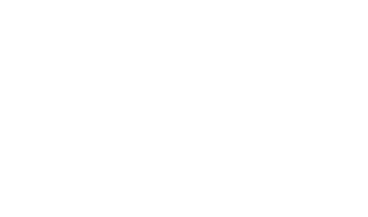 Instaspin logo