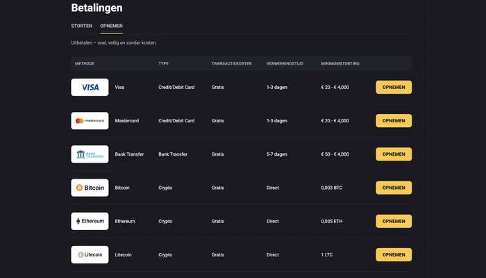 Opnamepagina van Amonbet met bedragen en verwerkingstijden per methode