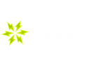 Instasino