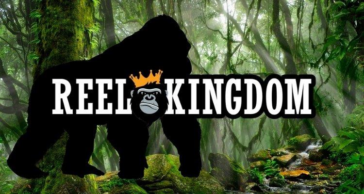 Reel Kingdom spel provider