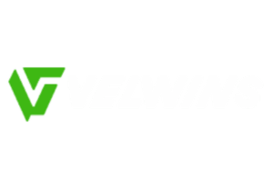 Velwins