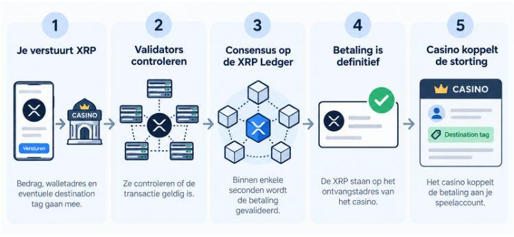 xrp casino storting